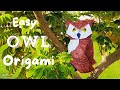 3D OWL Origami / Origami Paper craft #origami #diy