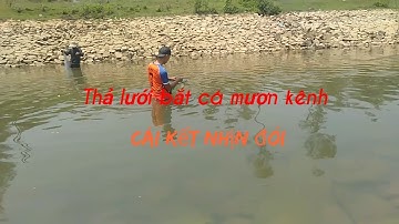 Thả lưới bắt cá trong kênh, cái kết nhịn đói