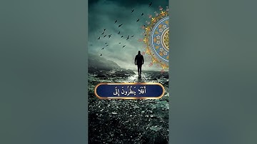سورة الغاشية بصوت محمد الفقية