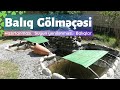 Balıq gölməçəsi. Prud. Bağda balıq saxlamaq və yetişdirmək