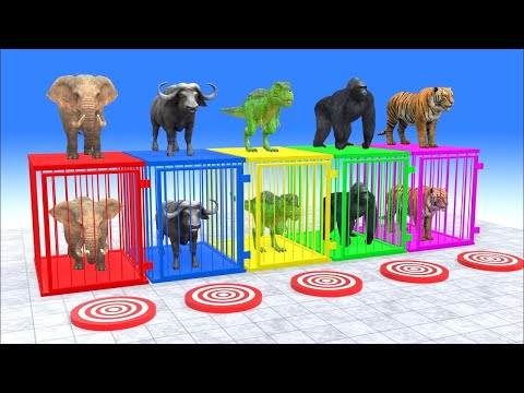 Long Slide Game With Elephant Gorilla Buffalo Hippopotamus Tiger - 3d Animal Game 