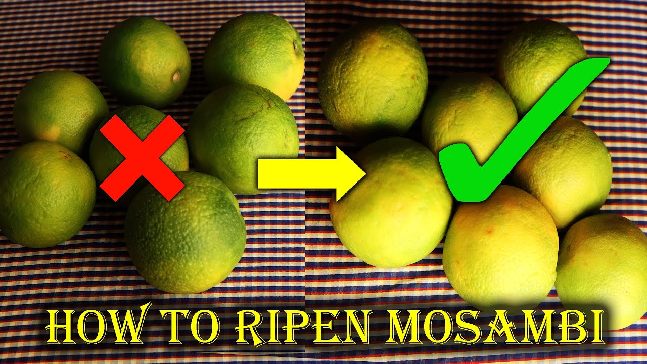 How To Ripen Mosambi At Home YouTube