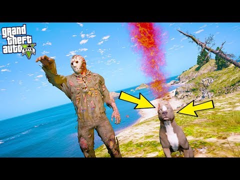 JASON PİTBULLUMUZ PAŞAYI CEHENNEM KÖPEĞİ YAPMIŞ! - GTA 5 ZOMBİ KIYAMETİ MODU