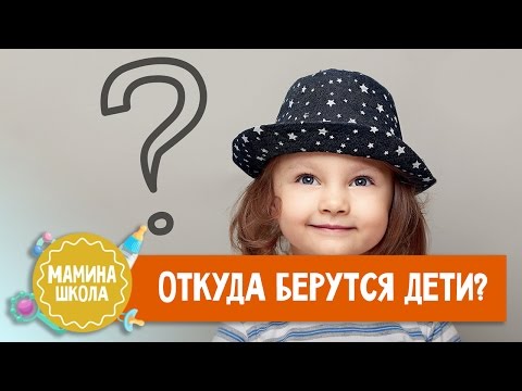 Откуда берутся дети. Что рассказать ребёнку