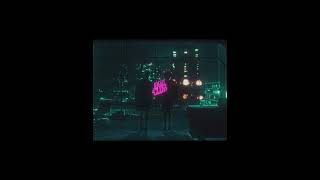 "Tyler Durden" | Shadow Lady slowed 4k edit