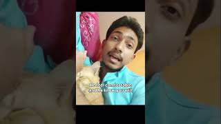 signs a cat loves u 💓 #viral #trending #shorts #cats #love