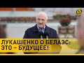 Лукашенко о ноте Литвы по БелАЭС: Это не первая. Пусть шлют. У нас места в унитазах хватает