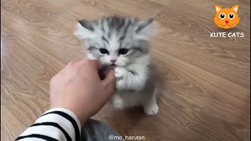 Codes for redbox in the description of the video.