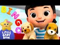 BINGO ⭐ New Song!  | Little Baby Bum