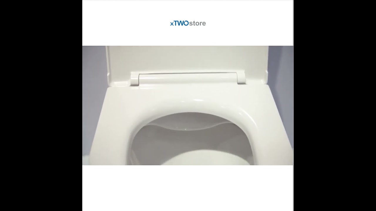 LAUFEN PRO | Floorstanding WC combination 
