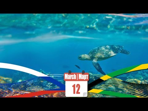 Russia — Jamaica, 42 | Россия — Ямайка, 42