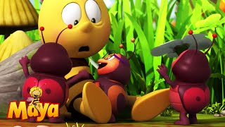 The Cute Little Bugs Think Willy Is Their Mom - Maya The Bee