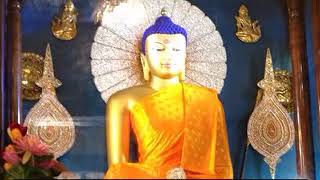 Daily Chanting at Bodhgaya Mahabodhi Temple