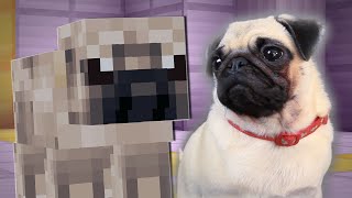 PUGS PLAY MINECRAFT