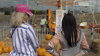 4K FREE STOCK FOOTAGE - Pumpkin Patch, Two Women Watching Kids