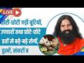 LIVE = छोटी-छोटी जड़ी बूटियों, घरेलू उपचारों तथा छोटे-छोटे व्रतों से बड़े-बड़े रोगों, दुखों, संकटों व