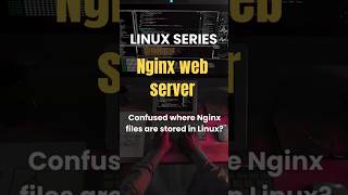 Nginx Default Paths and Ports in Linux | DevOps Tutorial | Linux Commands for Beginners #shorts