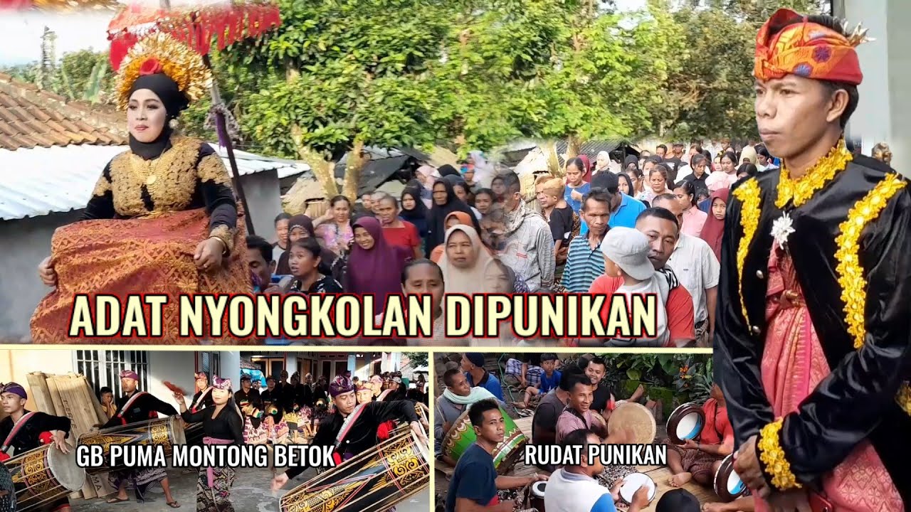 Nyongkolan Di Punikan Bareng Gendang Beleq Puma Montong Betok