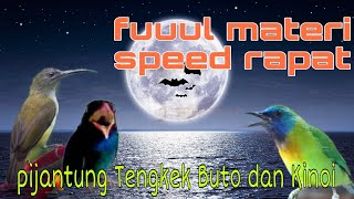 Tembakan full materi❗ pijantung Tengkek Buto dan Kinoi 🔥🔥