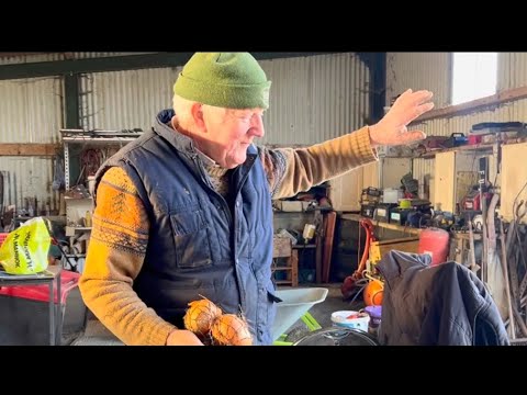 Christmas Week on my Irish Farmer Grandads Farm! ☘️ | Life on the Irish Countryside  thumbnail