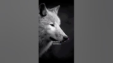 Understand the power of silence, revealing secrets of introverts. 😌🤙🏻 #shorts #sigmarule #introvert