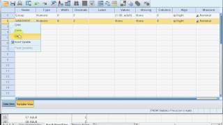 Lab 1 Entering Data between subjects