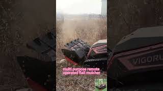 Vigorun remote controlled crawler multitask vehicle made by Vigorun Tech
