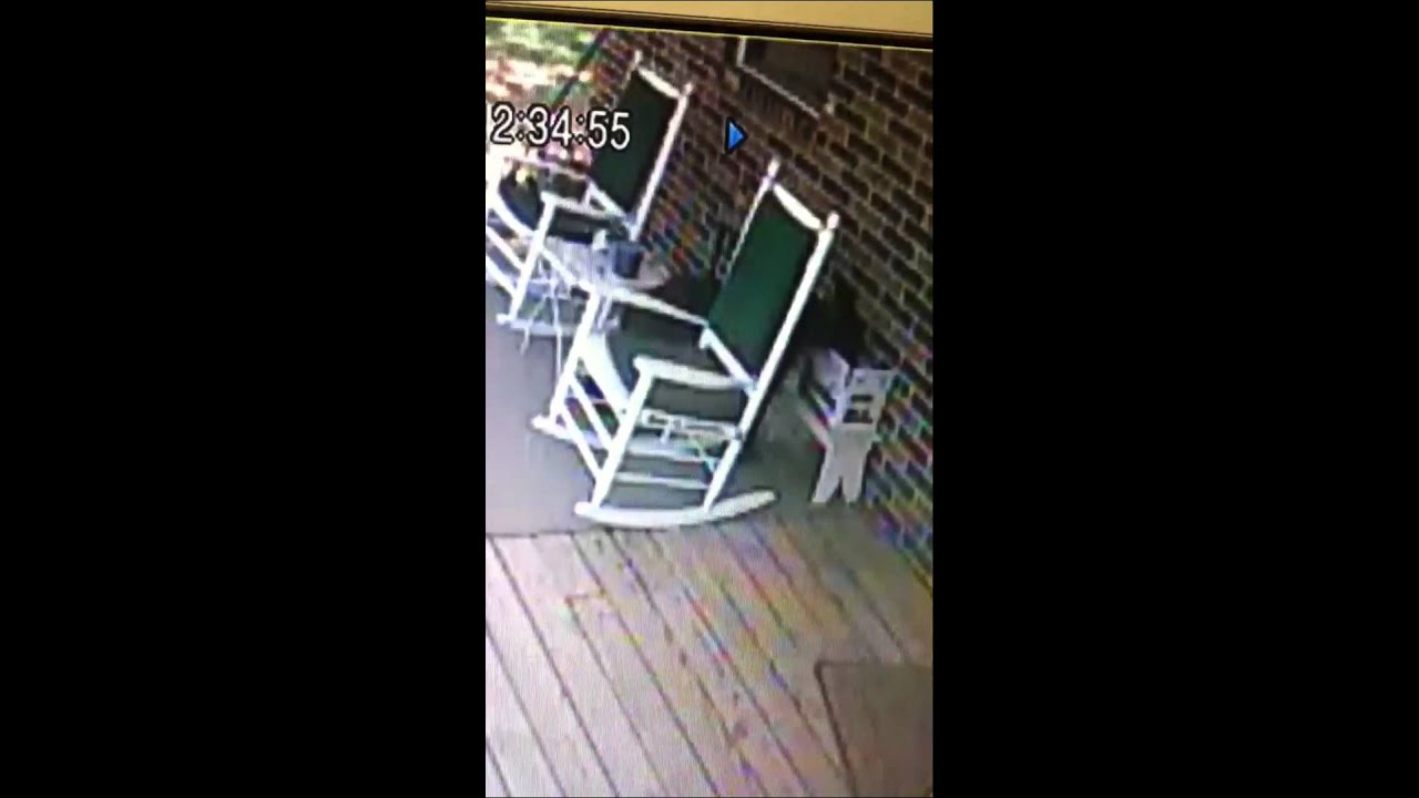 Arkansas Bear Attack YouTube