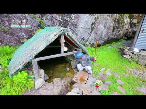한국기행 - Korea travel_들리나요, 여름 소리 3부 묘향암, 자연의 소리를 듣다_#001