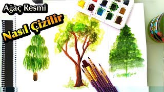 Suluboya Ağaç Çizimi KOLAY