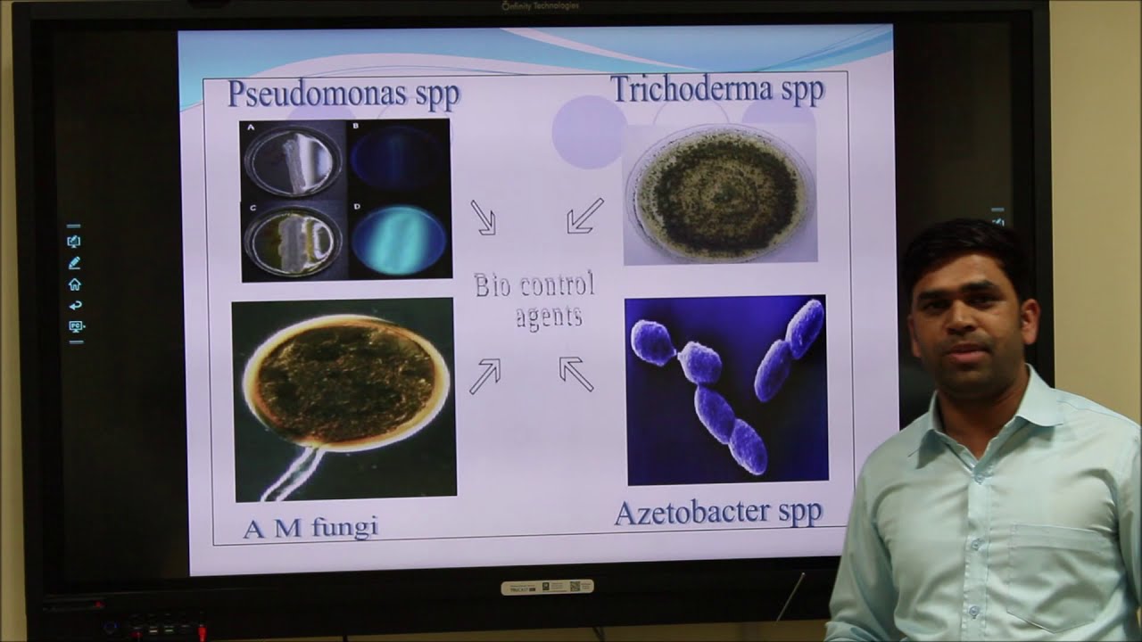 Lecture delivered by Dr Vijay Kumar on Biological control of plant pathogen 