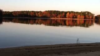 Kerr lake fall 2013 3. Bark echo