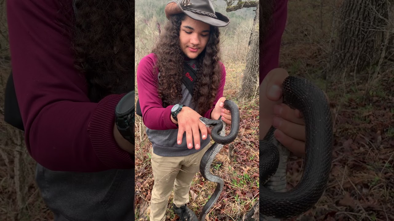 Rat Snake Can’t Decide if He Wants To Bite