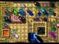 Tibia | XP Grave Team Hunt &amp; Fast Levels