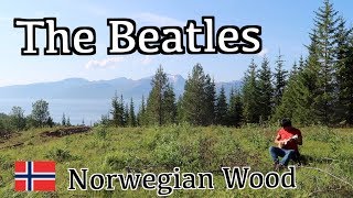 『ノルウェーの森』をノルウェーの森で弾いてみた｜The Beatles 