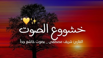 تلاوة هادئة تريح القلب والعقل !! بصوت القارئ شريف مصطفى حالات واتس اب قرآن 🤍 Quran status