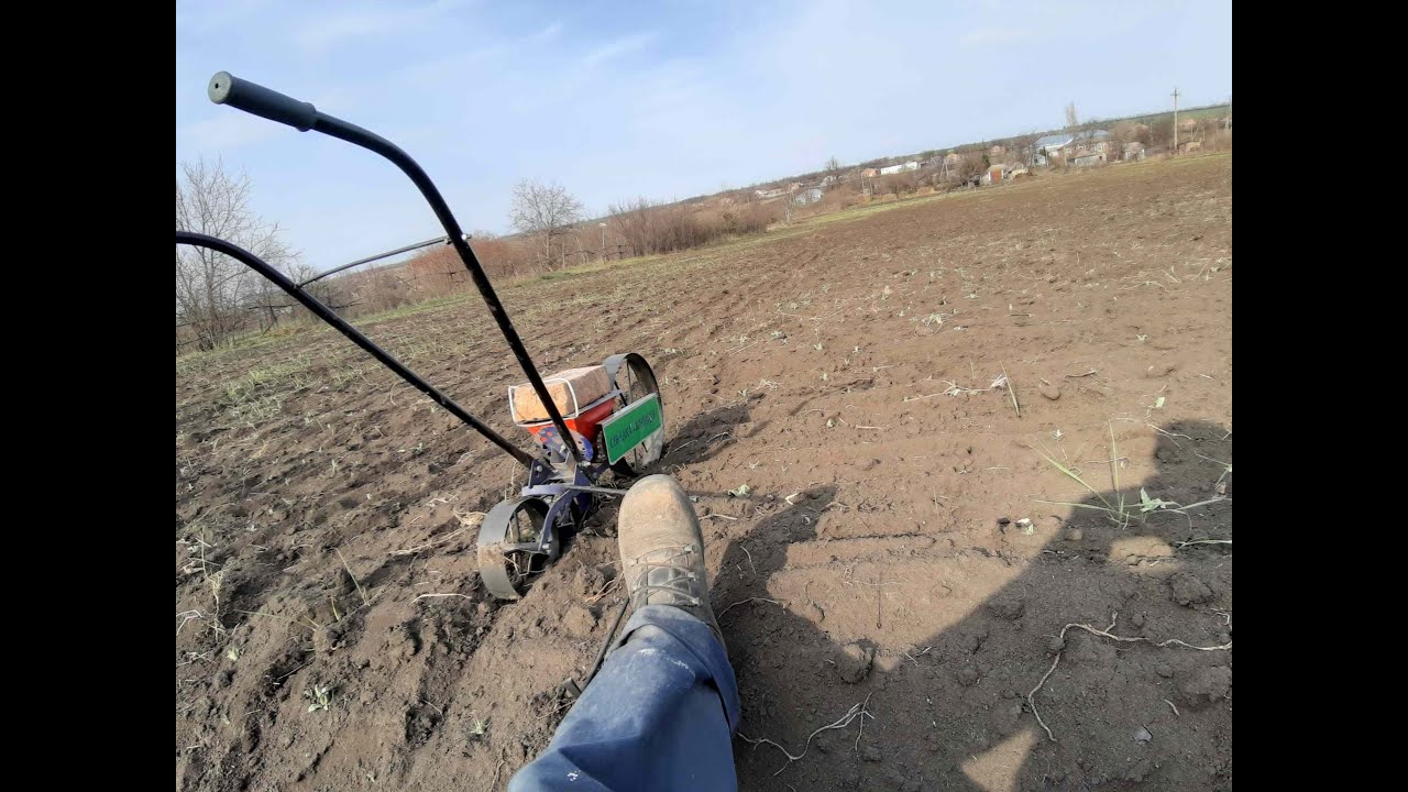 Улучшаем медоносные условия! Сеем медоносную фацелию ручной сеялкой ...