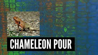 Chameleon Cells Acrylic Pour - Acrylic pour with silicone oil - Chameleon Pour Technique