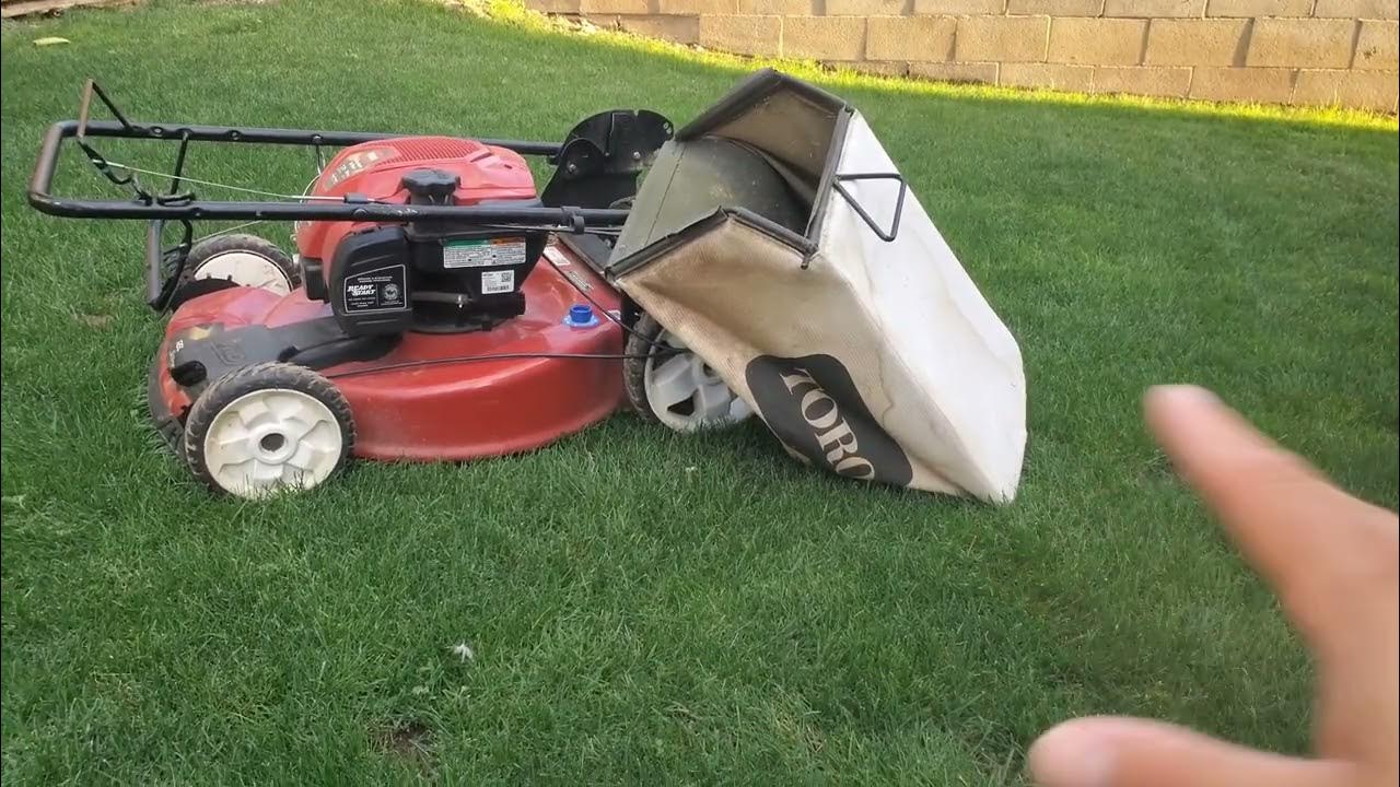 Bagging VS Mulching / Proper Leaf Blowing DIY Lawn Guy YouTube