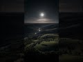 Horror  movie songs are always hit different #lofi #love 😍😍