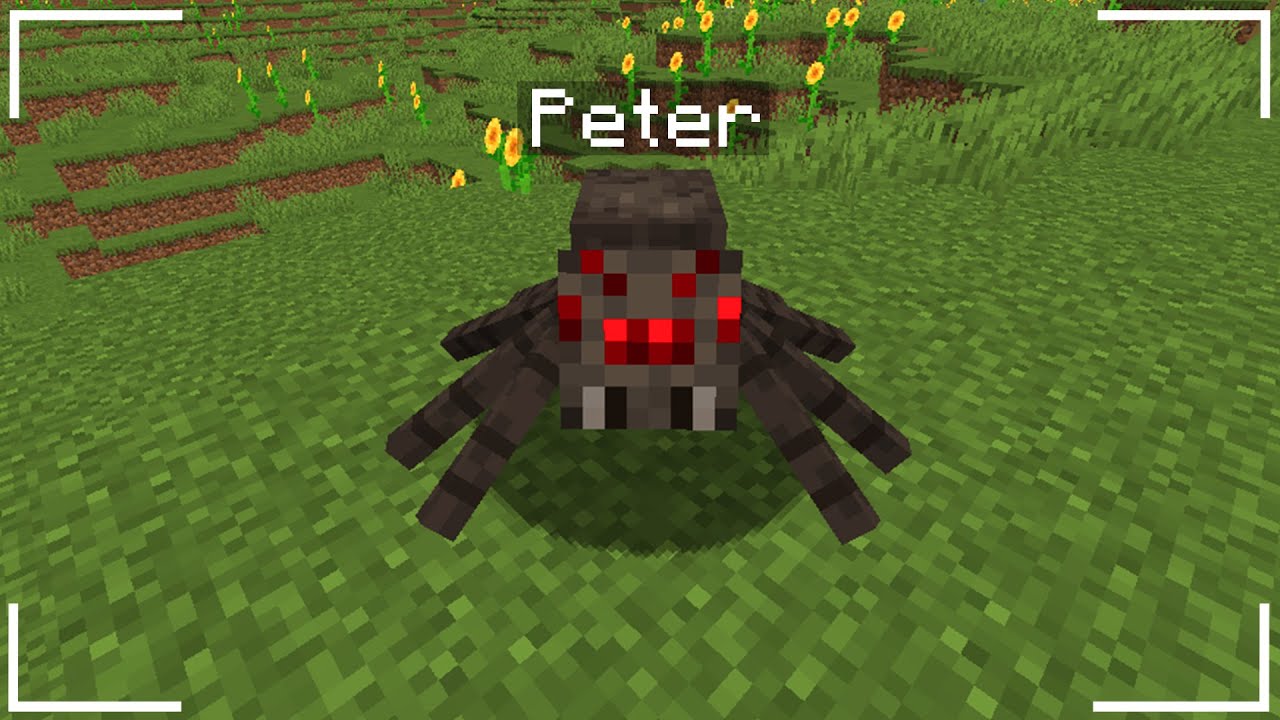 Spider Minecraft Build Easy