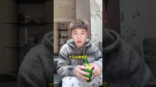 新猫到家不听话怎么办？注意这四点！新猫到家 猫咪 新手养猫