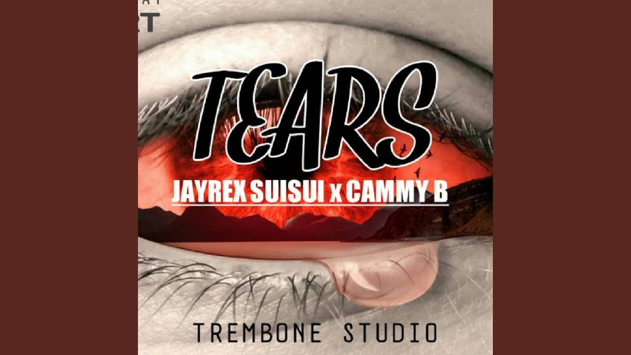 Tears feat Cammy Bee