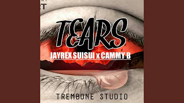 Tears (feat. Cammy Bee)