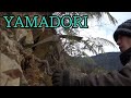 【Bonsai diary】 YAMADORI/Naturl Bonsai (Red pine)♯304