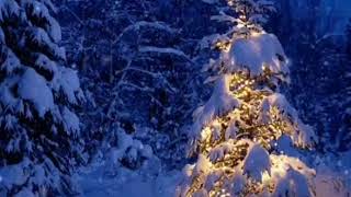 Mistletoe - Justin Bieber  Angelic cover (30 Seconds)