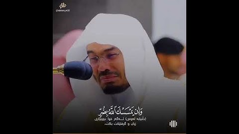 تلاوة خاشعة ومؤثرة للشيخ ياسر الدوسري 😢🤍🎧