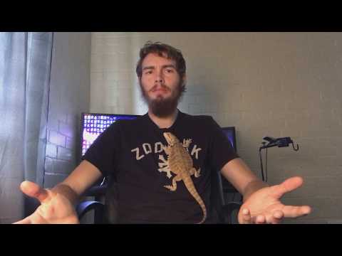 Bearded Dragon quick tips PART 1: How to stop bearded dragon from glass surfing