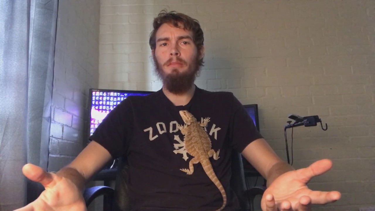 Bearded Dragon Quick Tips Part 1: How To Stop Bearded Dragon From Glass Surfing