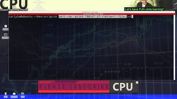 What is perl?